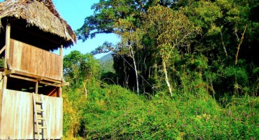 Manu Cloud Forest - Amazon Basin, Peru
