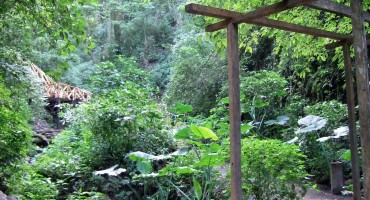 Antigua Garden - Guatemala