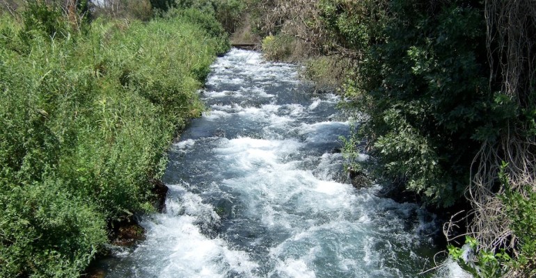Tributary of Jordan River – Israel