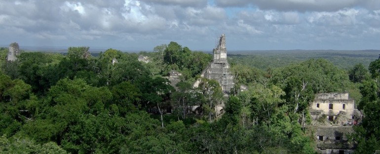 Howler Monkeys – Tikal, Guatemala