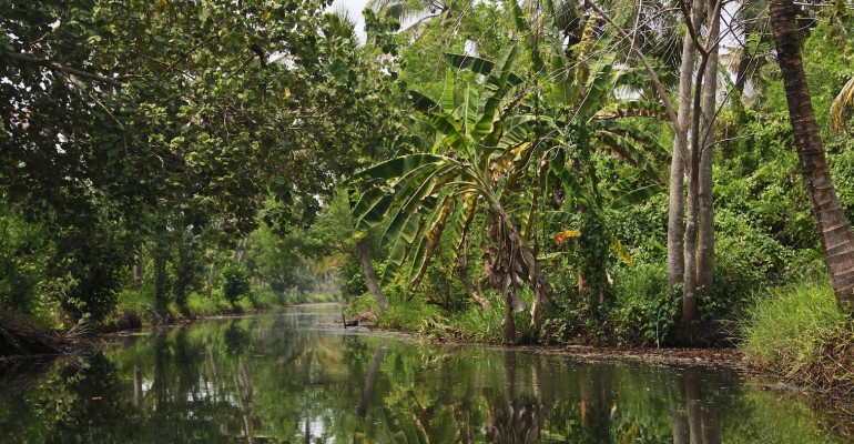 Kerala Backwaters – Kerala, India