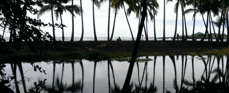 Punalu’u Black Sand Beach – Hawaii, USA