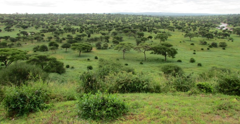 Tarangire National Park – Tanzania