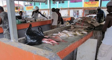 Conchshell Bay Fish Market - Belize City, Belize