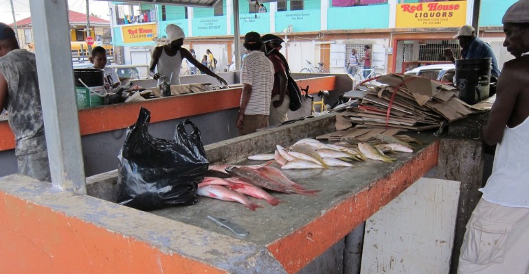 Conchshell Bay Fish Market – Belize City, Belize