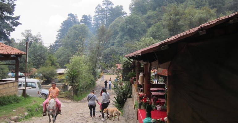 Los Dinamos Village – Mexico City