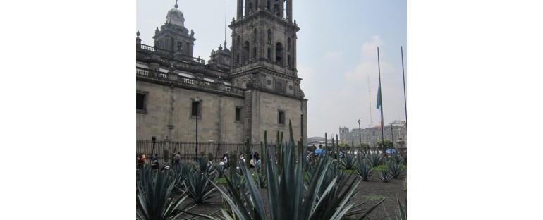 Metropolitan Cathedral Bells – Mexico City