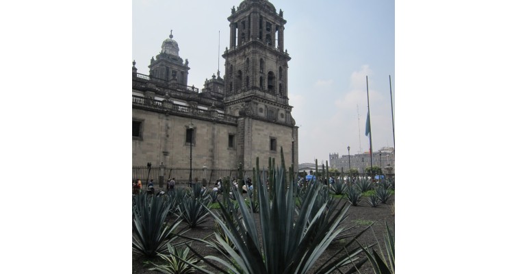 Metropolitan Cathedral Bells – Mexico City