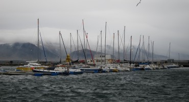 Windy Harbor - Reykjavík, Iceland