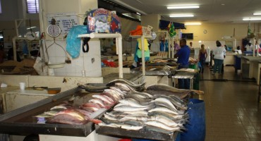 Local Fish Market – Panama City, Panama