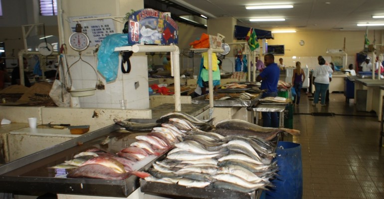 Local Fish Market – Panama City, Panama