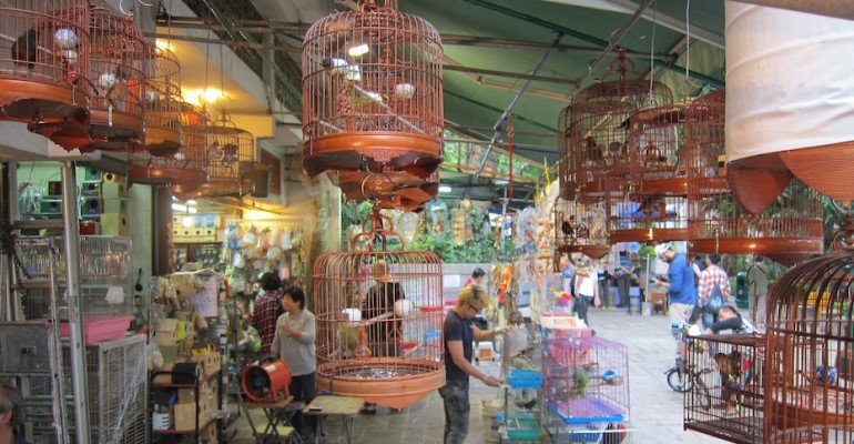 Yuen Po Street Bird Garden – Hong Kong, China