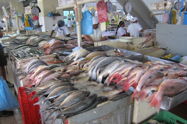 Seafood Market – Panama City, Panama