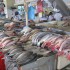 Seafood Market – Panama City, Panama