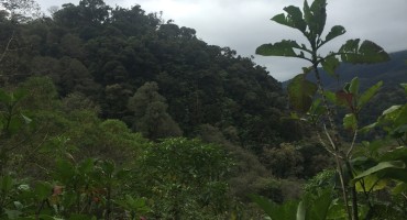 The Lost Waterfalls Trail – Boquete, Panama