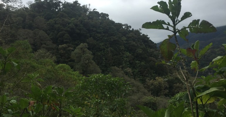 The Lost Waterfalls Trail – Boquete, Panama