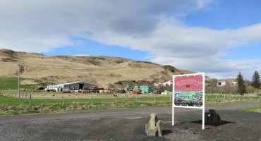 Sheep Farm – Kirkjubæjarklaustur, Iceland