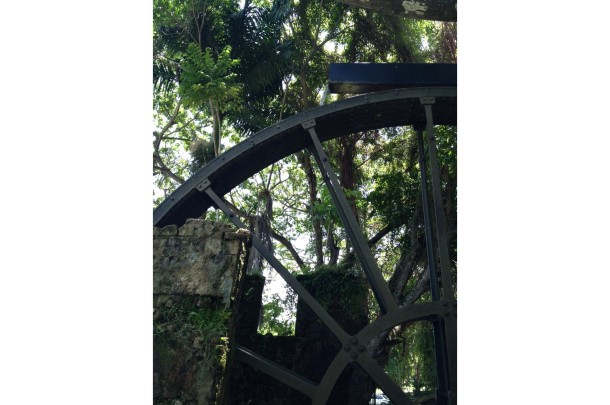Water Wheel – Montego Bay, Jamaica3