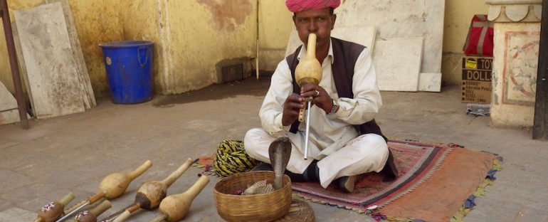Snake Charmer – Jaipur, India