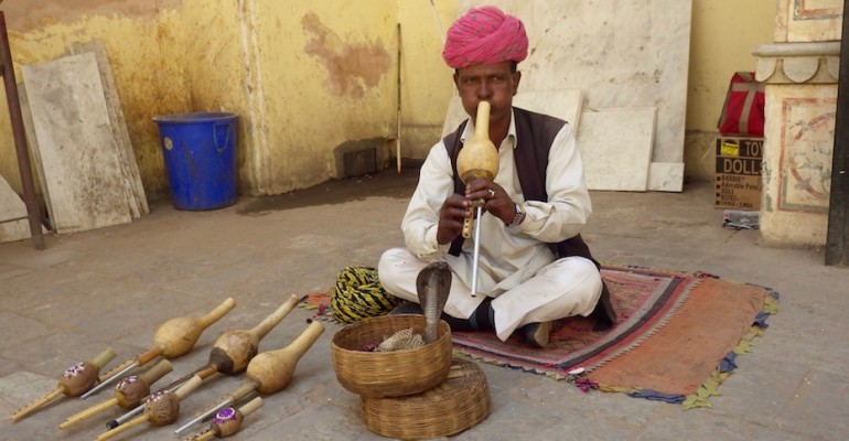 Snake Charmer – Jaipur, India