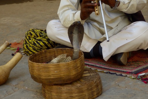 Snake Charmer – Jaipur, India2