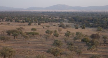 Morning – Serengeti National Park, Tanzania