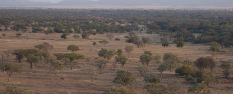 Morning – Serengeti National Park, Tanzania