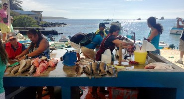 Puerto Ayora Fish Market - Galápagos Islands, Ecuador