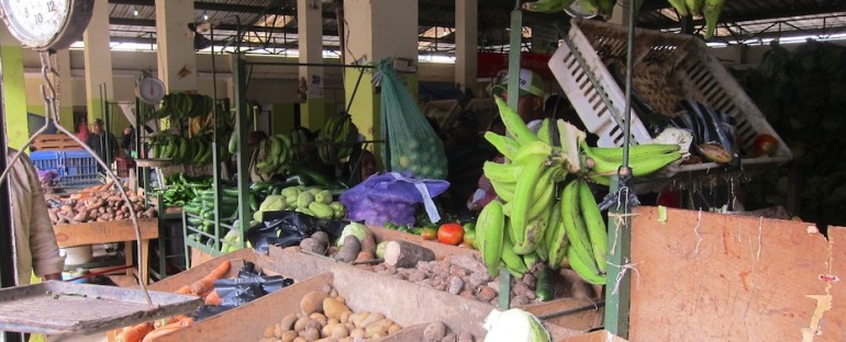 Fruit Market – Constanza, Dominican Republic