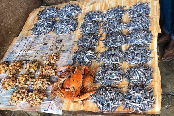 Darajani Spice Market – Stone Town, Tanzania2