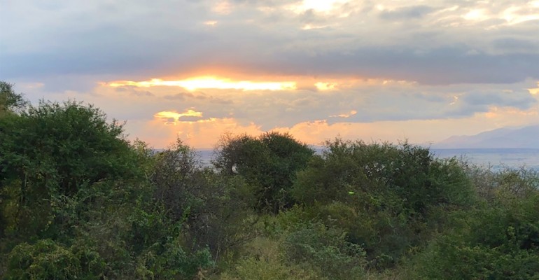 Morning Birds – Ngorongoro Conservation Area, Tanzania