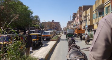 Horse Carriage – Edfu, Egypt