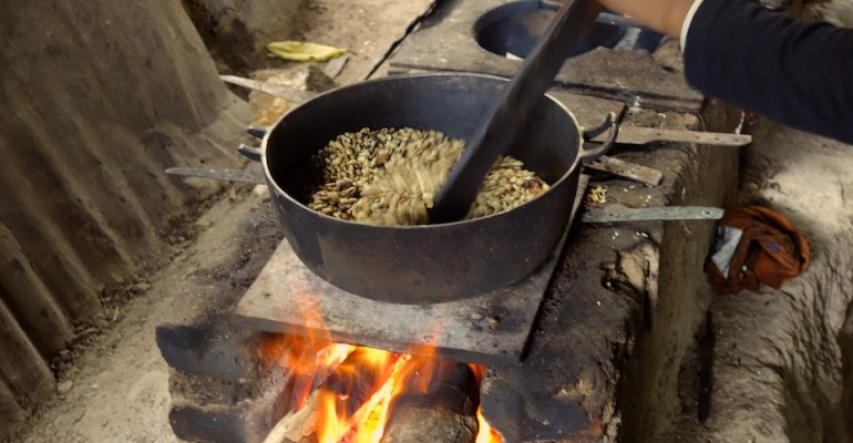 Artisan Coffee Roasting – Minca, Colombia