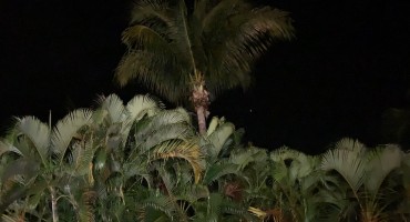 Nighttime - Grande Anse, Guadeloupe